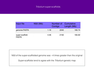 Negative gap lengths 
Half of scaffold_81 aligns with ChLG7 
79 80 81 82 83 
Because the other half of 81 aligns to another BNG consensus map that aligns 
to its chromosome linkage group this alignment was rejected and stitch was re-run 
! 
The BNG maps suggest a mis-assembly of in silico 81 at a sequence level 
 