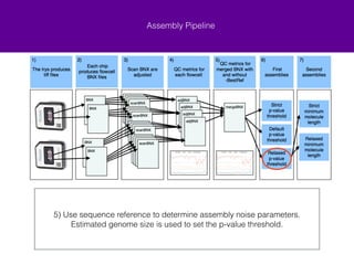 Assembly Pipeline 
5) Use sequence reference to determine assembly noise parameters. 
Estimated genome size is used to set the p-value threshold. 
 