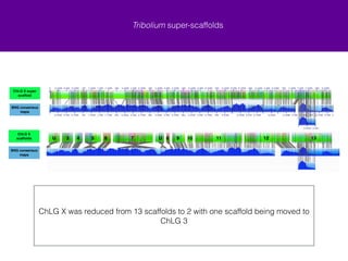Distribution of gap lengths for automated output 
Gap length (bp) 
Count 
−1500000 −1000000 −500000 0 500000 1000000 
0 5 10 15 20 
Negative gap lengths 
Positive gap lengths 
Gap lengths 
All gaps from the shaded regions were also manually rejected and stitch.pl 
was rerun without them for the current super-scaffolded assembly 
! 
We suspect extremely small negative gap sizes may be useful in locating 
sequence mis-assemblies 
 
