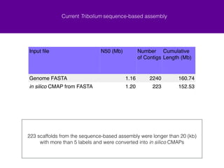 Current Tribolium sequence-based assembly 
Input file N50 (Mb) Number 
of Contigs 
Cumulative 
Length (Mb) 
Genome FASTA 1.16 2240 160.74 
in silico CMAP from FASTA 1.20 223 152.53 
223 scaffolds from the sequence-based assembly were longer than 20 (kb) 
with more than 5 labels and were converted into in silico CMAPs 
 