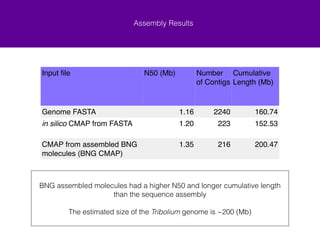 Assembly Results 
Input file N50 (Mb) Number 
of Contigs 
Cumulative 
Length (Mb) 
Genome FASTA 1.16 2240 160.74 
in silico CMAP from FASTA 1.20 223 152.53 
CMAP from assembled BNG 
molecules (BNG CMAP) 
1.35 216 200.47 
BNG assembled molecules had a higher N50 and longer cumulative length 
than the sequence assembly 
! 
The estimated size of the Tribolium genome is ~200 (Mb) 
 