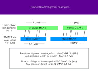 Simplest XMAP alignment description 
1 (Mb) 
1.1 (Mb) 
1.1 (Mb) 1.3 (Mb) 
Breadth of alignment coverage for in silico CMAP: 2.1 (Mb) 
Total alignment length for in silico CMAP: 2.1 (Mb) 
! 
Breadth of alignment coverage for BNG CMAP: 2.4 (Mb) 
Total alignment length for BNG CMAP: 2.4 (Mb) 
in silico CMAP 
from genome 
FASTA 
CMAP from 
assembled 
molecules 
in silico CMAP 1 in silico CMAP 2 
BNG CMAP 1 BNG CMAP 2 
 