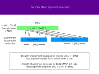 Complex XMAP alignment description 
1 (Mb) 
in silico CMAP 1 
BNG CMAP 1 BNG CMAP 2 
1.1 (Mb) 1.3 (Mb) 
Breadth of alignment coverage for in silico CMAP: 1 (Mb) 
Total alignment length for in silico CMAP: 2 (Mb) 
! 
Breadth of alignment coverage for BNG CMAP: 2.4 (Mb) 
Total alignment length for BNG CMAP: 2.4 (Mb) 
in silico CMAP 
from genome 
FASTA 
CMAP from 
assembled 
molecules 
 