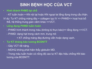 SINH BỆNH HỌC CỦA VCT
• Hình thành PHMD tại chỗ
- KT tuần hoàn + KN nội tại hoặc KN ngoại lai lắng đọng trong cầu thận.
Ví dụ: Tự KT chống màng đáy + collagen typ IV => PHMD=> hoạt hoá bổ
thể, hệ thống trung gian viêm khác =>VCT.
• Lắng đọng PHMD tuần hoàn
- PHMD hình thành trong máu (không bị thực bào)=> lắng đọng =>VCT.
- PHMD: dạng hạt trong vách mm, trung mô
+ KT chống màng đáy:đường viền hoặc dạng vạch.
• Tự KT kháng bào tương BCĐNTT
- Gây VCT rất nặng.
- MDHQ không phát hiện thấy globulin MD.
- Trong máu tuần hoàn có nồng độ cao tự KT đặc hiệu chống KN bào
tương của BCĐNTT.
 