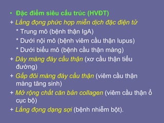 • Đặc điểm siêu cấu trúc (HVĐT)
+ Lắng đọng phức hợp miễn dịch đặc điện tử
* Trung mô (bệnh thận IgA)
* Dưới nội mô (bệnh viêm cầu thận lupus)
* Dưới biểu mô (bệnh cầu thận màng)
+ Dày màng đáy cầu thận (xơ cầu thận tiểu
đường)
+ Gấp đôi màng đáy cầu thận (viêm cầu thận
màng tăng sinh)
+ Mở rộng chất căn bản collagen (viêm cầu thận ổ
cục bộ)
+ Lắng đọng dạng sợi (bệnh nhiễm bột).
 