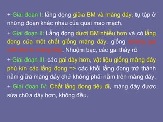 + Giai đoạn I: lắng đọng giữa BM và màng đáy, tụ tập ở
những đoạn khác nhau của quai mao mạch.
+ Giai đoạn II: Lắng đọng dưới BM nhiều hơn và có lắng
đọng của một chất giống màng đáy, giống những gai
chồi lên từ màng đáy. Nhuộm bạc, các gai thấy rõ
+ Giai đoạn III: các gai dày hơn, vật liệu giống màng đáy
phủ kín các lắng đọng => các khối lắng đọng trở thành
nằm giữa màng đáy chứ không phải nằm trên màng đáy.
+ Giai đoạn IV: Chất lắng đọng tiêu đi, màng đáy được
sửa chữa dày hơn, không đều.
 