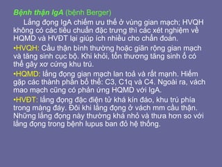 Bệnh thận IgA (bệnh Berger)
Lắng đọng IgA chiếm ưu thế ở vùng gian mạch; HVQH
không có các tiêu chuẩn đặc trưng thì các xét nghiệm về
HQMD và HVĐT lại giúp ích nhiều cho chẩn đoán.
•HVQH: Cầu thận bình thường hoặc giãn rộng gian mạch
và tăng sinh cục bộ. Khi khỏi, tổn thương tăng sinh ổ có
thể gây xơ cứng khu trú.
•HQMD: lắng đọng gian mạch lan toả và rất mạnh. Hiếm
gặp các thành phần bổ thể: C3, C1q và C4. Ngoài ra, vách
mao mạch cũng có phản ứng HQMD với IgA.
•HVĐT: lắng đọng đặc điện tử khá kín đáo, khu trú phía
trong màng đáy. Đôi khi lắng đọng ở vách mm cầu thận.
Những lắng đọng này thường khá nhỏ và thưa hơn so với
lắng đọng trong bệnh lupus ban đỏ hệ thống.
 