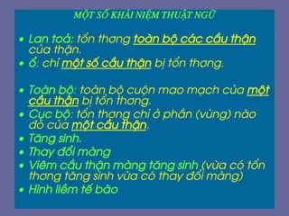 Mét sè kh¸i niÖm thuËt ng÷
• Lan to¶: tæn th¬ng toµn bé c¸c cÇu thËn
cña thËn.
• æ: chØ mét sè cÇu thËn bÞ tæn th¬ng.
• Toµn bé: toµn bé cuén mao m¹ch cña mét
cÇu thËn bÞ tæn th¬ng.
• Côc bé: tæn th¬ng chØ ë phÇn (vïng) nµo
®ã cña mét cÇu thËn.
• T¨ng sinh.
• Thay ®æi mµng
• Viªm cÇu thËn mµng t¨ng sinh (võa cã tæn
th¬ng t¨ng sinh võa cã thay ®æi mµng)
• H×nh liÒm tÕ bµo
 