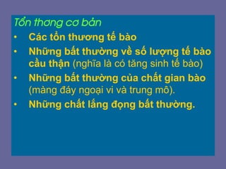 Tæn th¬ng c¬ b¶n
• Các tổn thương tế bào
• Những bất thường về số lượng tế bào
cầu thận (nghĩa là có tăng sinh tế bào)
• Những bất thường của chất gian bào
(màng đáy ngoại vi và trung mô).
• Những chất lắng đọng bất thường.
 