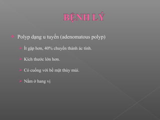  Polyp dạng u tuyến (adenomatous polyp)
 Ít gặp hơn, 40% chuyển thành ác tính.
 Kích thước lớn hơn.
 Có cuống với bề mặt thùy múi.
 Nằm ở hang vị
 