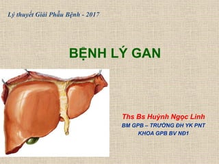 BỆNH LÝ GAN
Ths Bs Huỳnh Ngọc Linh
BM GPB – TRƯỜNG ĐH YK PNT
KHOA GPB BV NĐ1
Lý thuyết Giải Phẫu Bệnh - 2017
 