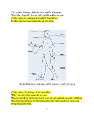 9
*Cổ tay xuội (bàn tay rũ)do tổn thương thần kinh quay.
*Bàn chân rớt do tổn thương thần kinh hông khoeo ngoài.
+Triệu chứng do tổn thương thần kinh dinh dưỡng:
Da khô, nứt, lông rụng, móng dòn và mất bóng.
Các dây thần kinh ngoại vi dễ bị tổn thương trong bệnh phong
+Triệu chứng tổn thương các cơ quan khác:
*Mũi: viêm mũi, chảy máu mũi, xẹp mũi.
*Thanh quản:thâm nhiễm nắp thanh quản và xơ hóa thanh quản gây nói khàn.
*Tổn thương miệng: có thể loét thủng khẩu cái, viêm nha chu và rụng răng
trong những thể nặng.
 