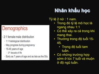 Tỷ lệ 2 nữ : 1 nam.
• Trong đó tỷ lệ mô học là
ngang nhau 1:1
• Có thể xảy ra cả trong khi
mang thai.
• Thường trong độ tuổi 15-
45.
• Trong độ tuổi tam
tuần.
• Có những trường hợp
sớm ở lúc 7 tuổi và muộn
ở độ ngũ tuần.
 