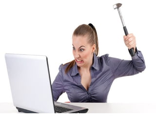 How WestBay WebSites got here