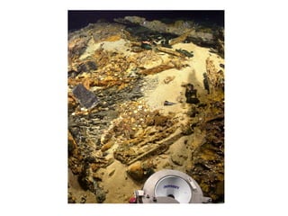 How WestBay WebSites got here