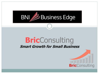 BricConsulting 
Smart Growth for Small Business 
 
