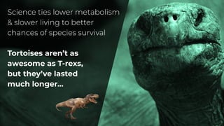 Tortoises aren’t as
awesome as T-rexs,
but they’ve lasted
much longer...
 