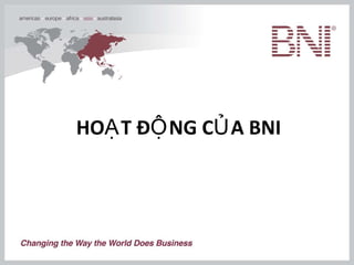 HOẠT ĐỘNG CỦA BNI   