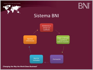 Sistema BNI
 