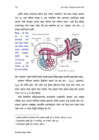 14                                                                পৰ্থম অধয্ায় : ইসলােমর সতয্তার দলীল



        তৃতীয় অেথর্র আেলােক আমরা উক্ত শে র “রক্তিপণ্ড” অথর্ গৰ্হণ করেল েদখেত
পাব েয, তার বািহয্ক অবস্থা ও তার সংরিক্ষত খাঁচা (আবরণ) রক্তিপেণ্ডর মতই
                                                          4
েদখায়। উক্ত অবস্থায় এখােন পৰ্চুর পিরমাণ রক্ত বতর্মান থােক। (৪থর্ িচতৰ্ দৰ্ষ্টবয্)
                                                                     5
এতদসেত্তব্ও িতন সপ্তাহ পযর্ন্ত এই রক্ত সঞ্চািলত হয় না। সু তরাং, বলা যায়— এ
অবস্থা রক্তিপেণ্ডর মতই।
িচতৰ্-৪ : এই িচেতৰ্
ভৰ্ূণ          ও     তার
আবরণেক               তার
মেধয্ পৰ্চুর পিরমাণ
রক্ত বতর্মান থাকার
কারেণ          রক্তিপেণ্ডর
মতই             েদখােচ্ছ।
(িচতৰ্িট             The
Developing
Human,                ৫ম
সংস্করণ, ৬৫ পৃষ্ঠা
হেত েনয়া হেয়েছ)


উক্ত “আলাকা” শে র িতনিট অেথর্র সােথই ভৰ্ূেণর িবিভন্ন স্তেরর গ‌ুণাবিল হুবহু িমেল যােচ্ছ।
                                                                    ًَ ْ ُ
    করআন শরীেফর আয়ােত উেল্লিখত ভৰ্ূেণর ২য় স্তর হল— “‫( ”ﻣﻀﻐﺔ‬মু দগাহ)।
     ু
ًَ ْ ُ
‫ ﻣﻀﻐﺔ‬হল চিবর্ত দৰ্বয্। যিদ েকউ এক টুকরা চুইংগাম িনেয় দােত চবর্ণ করার পর
তােক ভৰ্ূেণর সােথ তুলনা কের তাহেল, উক্ত দৰ্েবয্র সােথ ভৰ্ূেণর হুবহু িমল েদখেত
           6
পােব। (৫ ও ৬ নং িচতৰ্ দৰ্ষ্টবয্)
        আজ িবজ্ঞানীরা মাইেকৰ্ােস্কাপসহ অতয্াধুিনক সরঞ্জামািদ বয্বহার এবং অক্লান্ত
                                    ু
পিরশৰ্ম কের এগ‌ুেলা আিবষ্কার কেরেছ করআন নািযল হওয়ার েদড় হাজার বছর পর।
তাহেল, মুহাম্মদ সাল্লাল্লাহু ‘আলাইিহ ওয়াসাল্লােমর পেক্ষ এত িকছু জানা েকমন কের
সম্ভব যখন এ সেবর িকছু ই আিবষ্কৃত হয় িন?


4
     ু
    করআন-হাদীেসর আেলােক মানব েদেহর পৰ্বৃ িদ্ধ, মুর ও অনয্ানয্, পৃষ্ঠা-৩৭ ও ৩৮।
5
    মানবেদেহর পৰ্বৃ িদ্ধ, মুর ও পারসাউড, ৫ম সংস্করণ, পৃষ্ঠা-৬৫।
6
    মানবেদেহর পৰ্বৃ িদ্ধ, ৫ম সংস্করণ, পৃষ্ঠা-৮।


ইসলােমর সিচতৰ্ গাইড
 