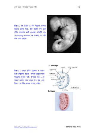 পৰ্থম অধয্ায় : ইসলােমর সতয্তার দলীল                              15




িচতৰ্-৫ : এই িচতৰ্িট ২৮ িদন বয়েসর (মু দগাহ
স্তেরর) ভৰ্ূেণর িচতৰ্। উক্ত িচতৰ্িট দাঁত দব্ারা
চিবর্ত েলাবােনর মতই েদখােচ্ছ। (িচতৰ্িট The
Developing Human, ৫ম সংস্করণ, ৭২ পৃষ্ঠা
হেত েনয়া হেয়েছ)




িচতৰ্-৬ : এখােন চিবর্ত চুইংগাম ও ভৰ্ূেণর
িচতৰ্ উপস্থািপত হেয়েছ। আমরা উভেয়র মেধয্
সামঞ্জসয্ েদখেত পাই। উপেরর িচতৰ্ A েত
আমরা ভৰ্ূেণর গােয় দাঁেতর মত িচহ্ন এবং
িচতৰ্ B েত চিবর্ত েলাবান েদখেত পািচ্ছ।




http://www.islamhouse.com                         ইসলােমর সিচতৰ্ গাইড
 