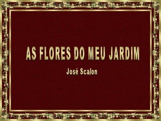 AS FLORES DO MEU JARDIM José Scalon 