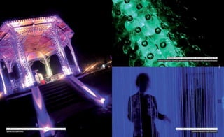 Heeb.She / možnosti kon(verz/zerv)ácie vody / potôčik na Hlavnej / 2011
                                                                                              svetelná inštalácia s tanečnou performance / light instalation with dance performance
/ 20 /




                                                                                                                                                                                         / 21 /
         Jana Feríková a Juraj Kuchar / Biela noc v parku / altánok v mestskom parku / 2010                             Ingrid Višňovská / net / nádvorie Historickej radnice / 2010
         operné árie / opera arias                                                                                                             svetelná inštalácia / light instalation
 