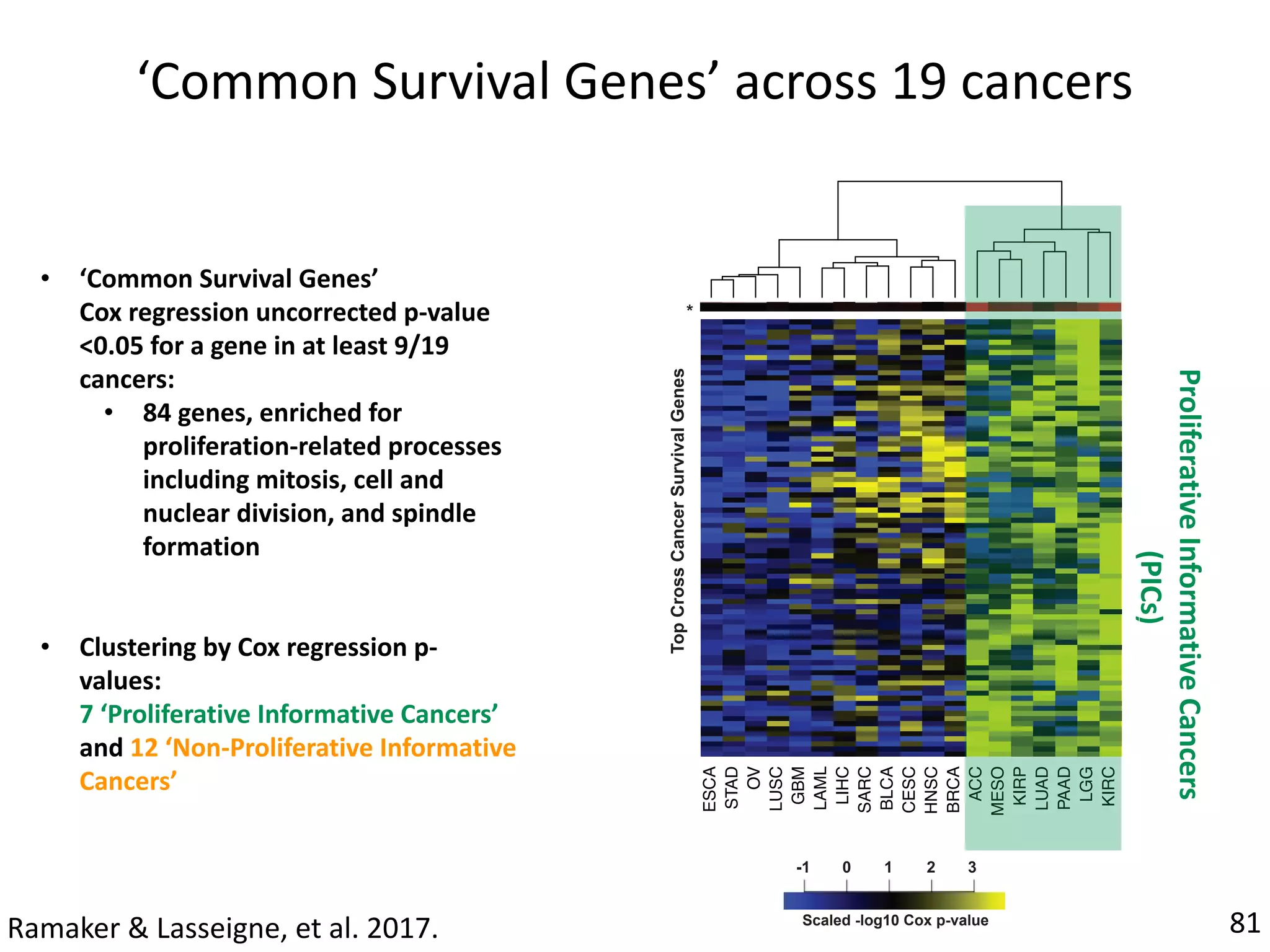 Scaled -log10 Cox p-value
-1 2 30 1
‘Common	Survival	Genes’	across	19	cancers
Proliferative	Informative	Cancers	
	(PICs)
81
ESCA
STAD
OV
LUSC
GBM
LAML
LIHC
SARC
BLCA
CESC
HNSC
BRCA
ACC
MESO
KIRP
LUAD
PAAD
LGG
KIRC
TopCrossCancerSurvivalGenes
*
C
• ‘Common	Survival	Genes’	
Cox	regression	uncorrected	p-value	
<0.05	for	a	gene	in	at	least	9/19	
cancers:	
• 84	genes,	enriched	for	
proliferation-related	processes	
including	mitosis,	cell	and	
nuclear	division,	and	spindle	
formation		
• Clustering	by	Cox	regression	p-
values:			
7	‘Proliferative	Informative	Cancers’	
and	12	‘Non-Proliferative	Informative	
Cancers’	
Ramaker	&	Lasseigne,	et	al.	2017.
 