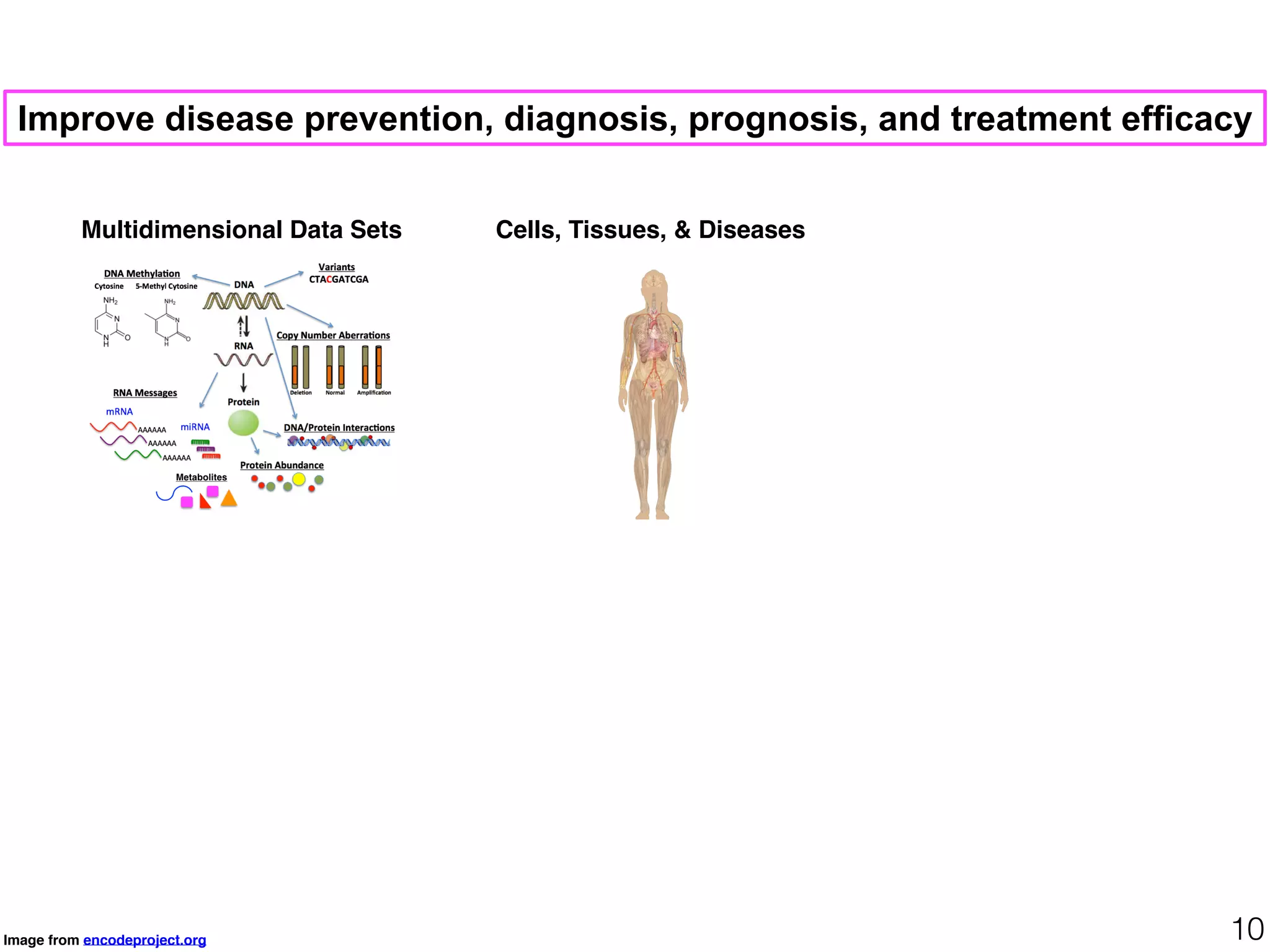 Cells, Tissues, & Diseases
Image from encodeproject.org 10
Improve disease prevention, diagnosis, prognosis, and treatment efficacy
Multidimensional Data Sets
 