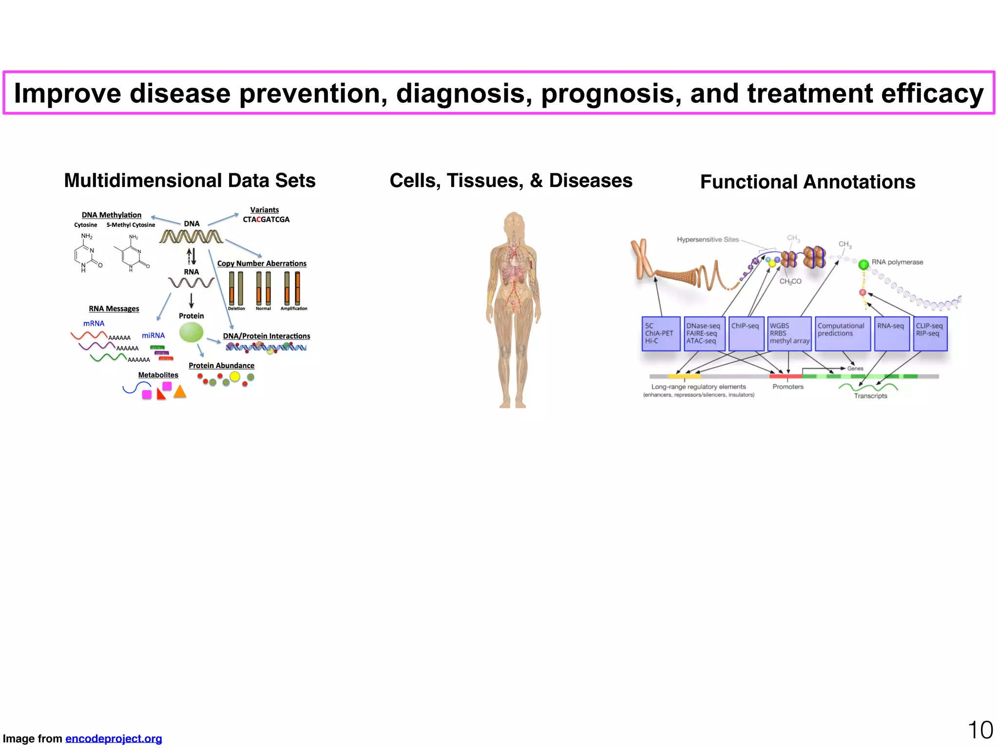 Cells, Tissues, & Diseases Functional Annotations
Image from encodeproject.org 10
Improve disease prevention, diagnosis, prognosis, and treatment efficacy
Multidimensional Data Sets
 