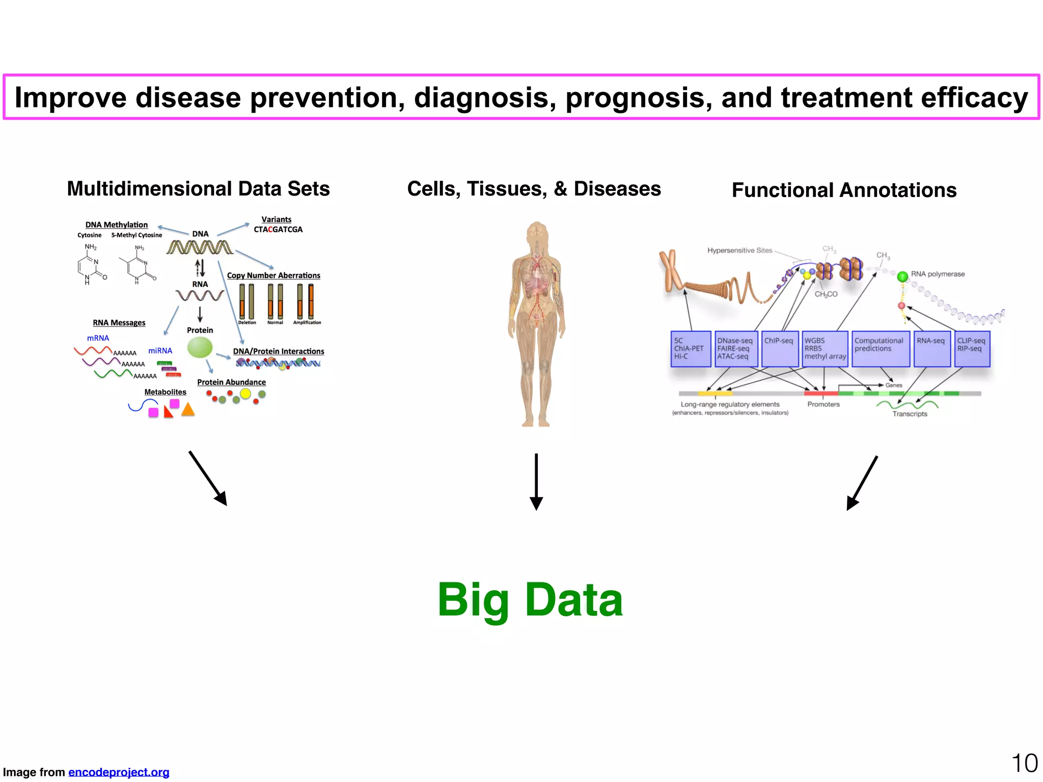Cells, Tissues, & Diseases Functional Annotations
Image from encodeproject.org 10
Improve disease prevention, diagnosis, prognosis, and treatment efficacy
Multidimensional Data Sets
Big Data
 