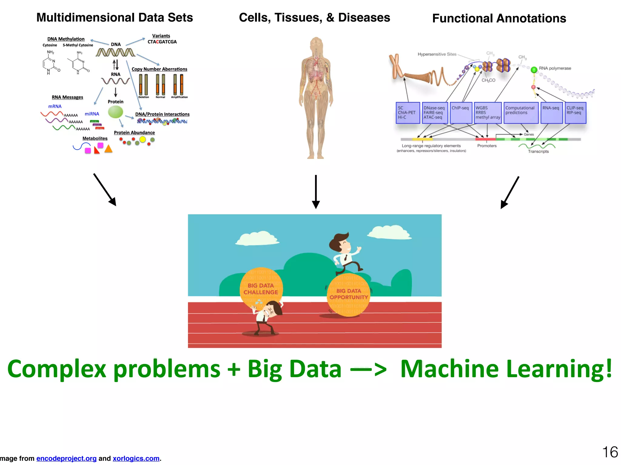 Cells, Tissues, & Diseases Functional Annotations
mage from encodeproject.org and xorlogics.com.
16
Multidimensional Data Sets
Complex	problems	+	Big	Data	—>		Machine	Learning!
 
