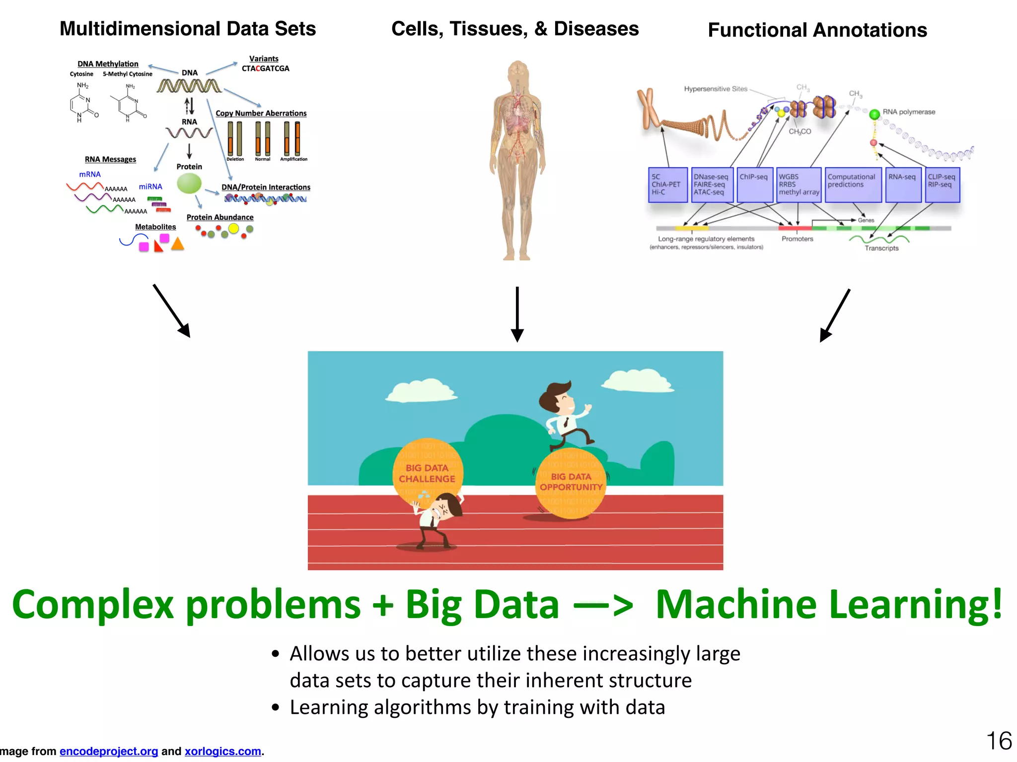 Cells, Tissues, & Diseases Functional Annotations
mage from encodeproject.org and xorlogics.com.
16
Multidimensional Data Sets
Complex	problems	+	Big	Data	—>		Machine	Learning!
• Allows	us	to	better	utilize	these	increasingly	large	
data	sets	to	capture	their	inherent	structure	
• Learning	algorithms	by	training	with	data
 