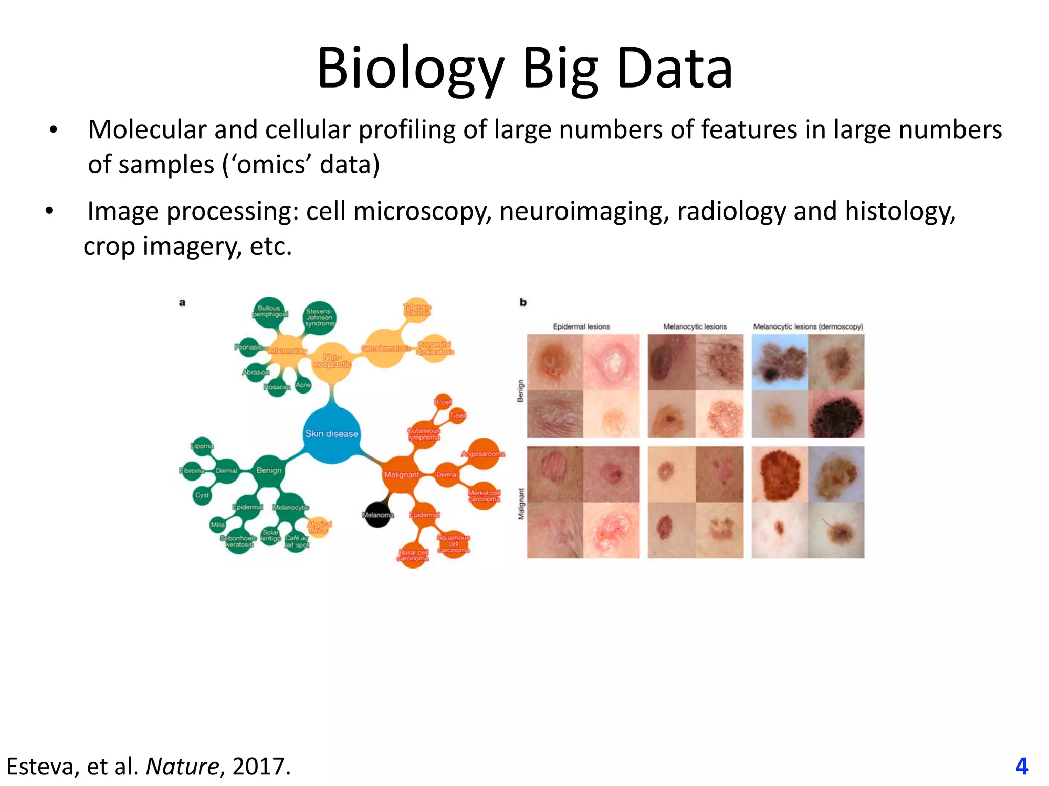 Biology	Big	Data
• Molecular	and	cellular	profiling	of	large	numbers	of	features	in	large	numbers	
of	samples	(‘omics’	data)	
•					Image	processing:	cell	microscopy,	neuroimaging,	radiology	and	histology,	
crop	imagery,	etc.
4Esteva,	et	al.	Nature,	2017.	
 