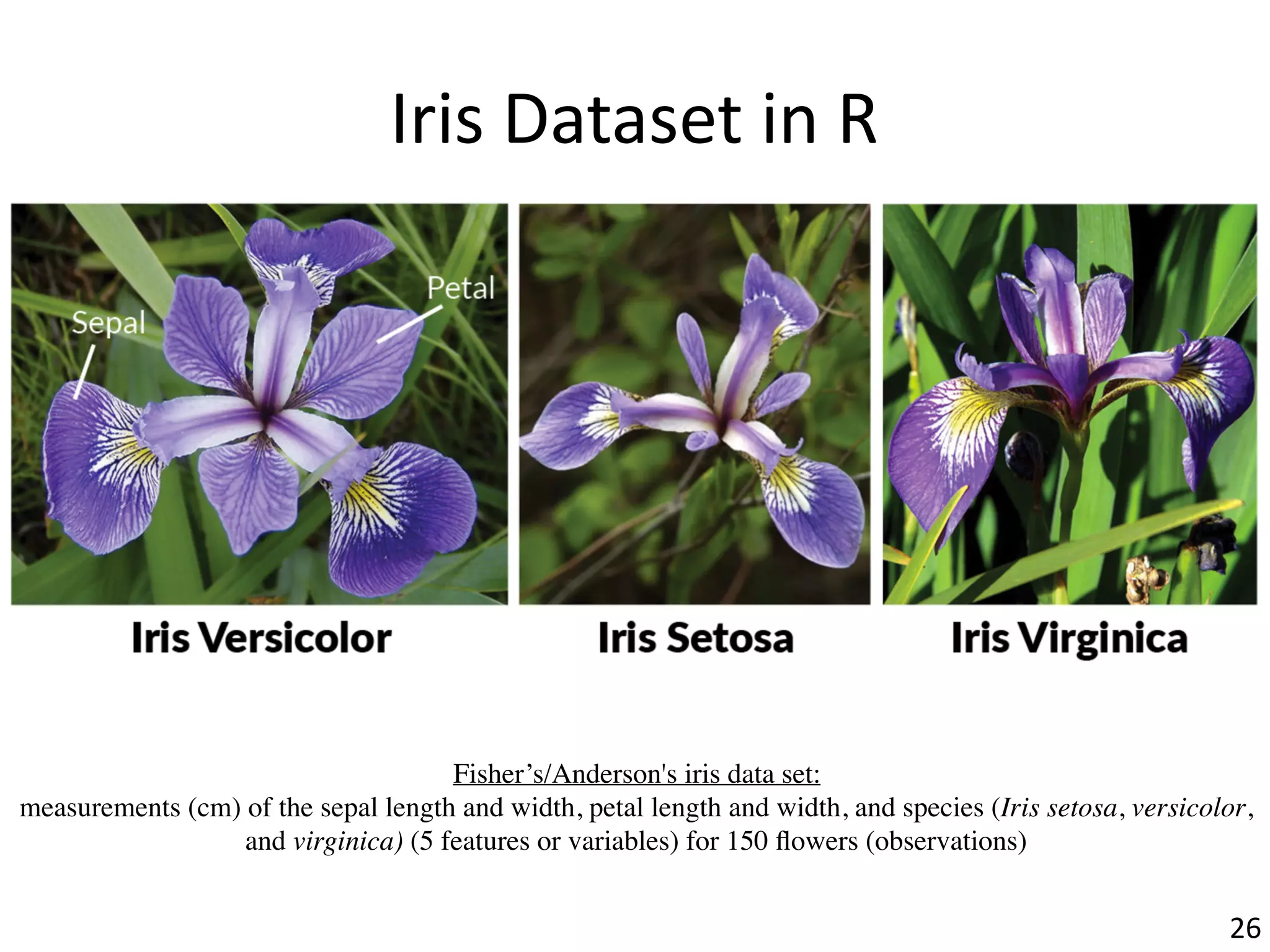 Fisher’s/Anderson's iris data set:
measurements (cm) of the sepal length and width, petal length and width, and species (Iris setosa, versicolor,
and virginica) (5 features or variables) for 150 ﬂowers (observations)
Iris	Dataset	in	R
26
 