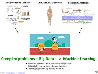 Hands-on Introduction to Machine Learning | PDF
