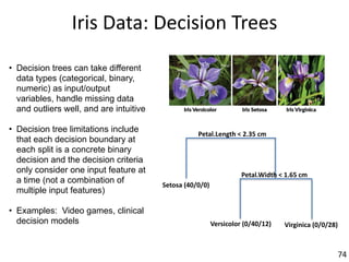 Iris	Data:	Decision	Trees
• Decision trees can take different
data types (categorical, binary,
numeric) as input/output
variables, handle missing data
and outliers well, and are intuitive
• Decision tree limitations include
that each decision boundary at
each split is a concrete binary
decision and the decision criteria
only consider one input feature at
a time (not a combination of
multiple input features)
• Examples: Video games, clinical
decision models
74
Petal.Length	<	2.35	cm
Setosa	(40/0/0)
Petal.Width	<	1.65	cm
Versicolor	(0/40/12) Virginica	(0/0/28)
 