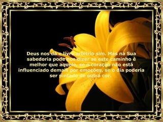 Deus nos dá o livre arbítrio sim. Mas na Sua sabedoria pode nos dizer se este caminho é melhor que aquele, se o coração não está influenciado demais por emoções, se o dia poderia ser pintado de outra cor.   