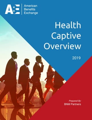 Health
Captive
Overview
2019
Prepared By:
BNM Partners
 