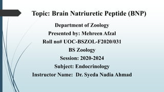 Topic: Brain Natriuretic Peptide (BNP)
Department of Zoology
Presented by: Mehreen Afzal
Roll no# UOC-BSZOL-F2020/031
BS Zoology
Session: 2020-2024
Subject: Endocrinology
Instructor Name: Dr. Syeda Nadia Ahmad
 