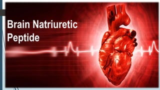 Brain Natriuretic
Peptide
 