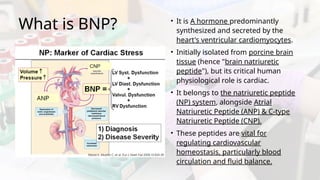 BNP in Heart failure (Final Version).pptx