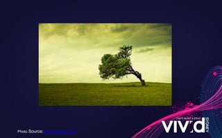 Photo Source:www.fallfade.com
 