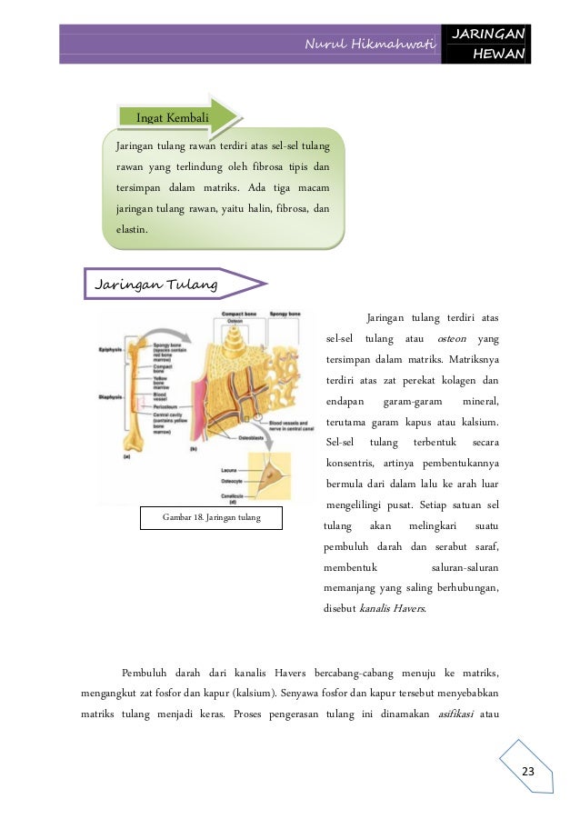 Buku Tentang Jaringan Hewan