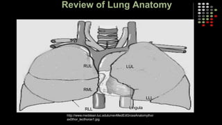 Comprehensive Overview of Pneumonia: Types, Pathophysiology, Diagnosis ...