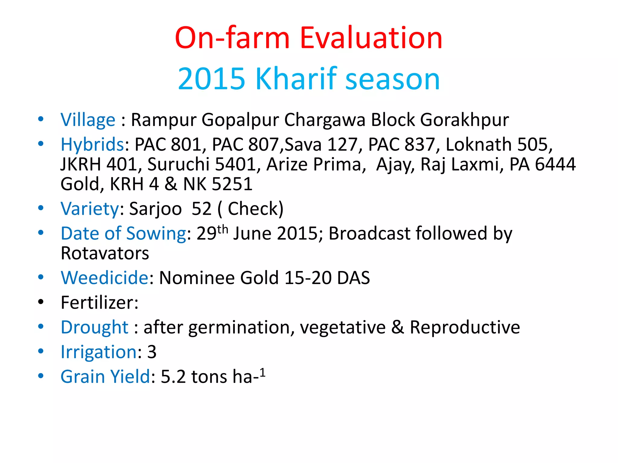 On-farm Evaluation
2015 Kharif season
• Village : Rampur Gopalpur Chargawa Block Gorakhpur
• Hybrids: PAC 801, PAC 807,Sava 127, PAC 837, Loknath 505,
JKRH 401, Suruchi 5401, Arize Prima, Ajay, Raj Laxmi, PA 6444
Gold, KRH 4 & NK 5251
• Variety: Sarjoo 52 ( Check)
• Date of Sowing: 29th June 2015; Broadcast followed by
Rotavators
• Weedicide: Nominee Gold 15-20 DAS
• Fertilizer:
• Drought : after germination, vegetative & Reproductive
• Irrigation: 3
• Grain Yield: 5.2 tons ha-1
 