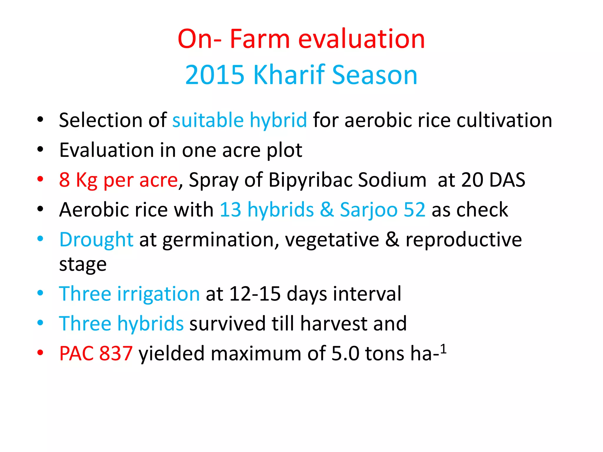 On- Farm evaluation
2015 Kharif Season
• Selection of suitable hybrid for aerobic rice cultivation
• Evaluation in one acre plot
• 8 Kg per acre, Spray of Bipyribac Sodium at 20 DAS
• Aerobic rice with 13 hybrids & Sarjoo 52 as check
• Drought at germination, vegetative & reproductive
stage
• Three irrigation at 12-15 days interval
• Three hybrids survived till harvest and
• PAC 837 yielded maximum of 5.0 tons ha-1
 