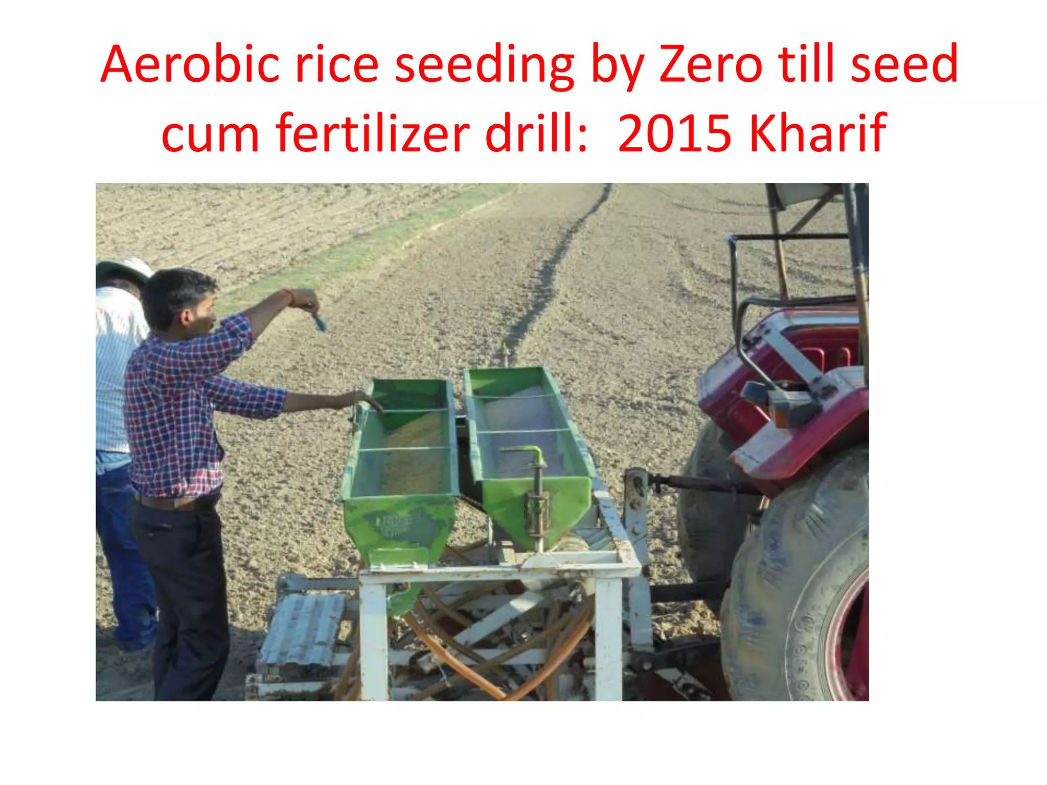 Aerobic rice seeding by Zero till seed
cum fertilizer drill: 2015 Kharif
 