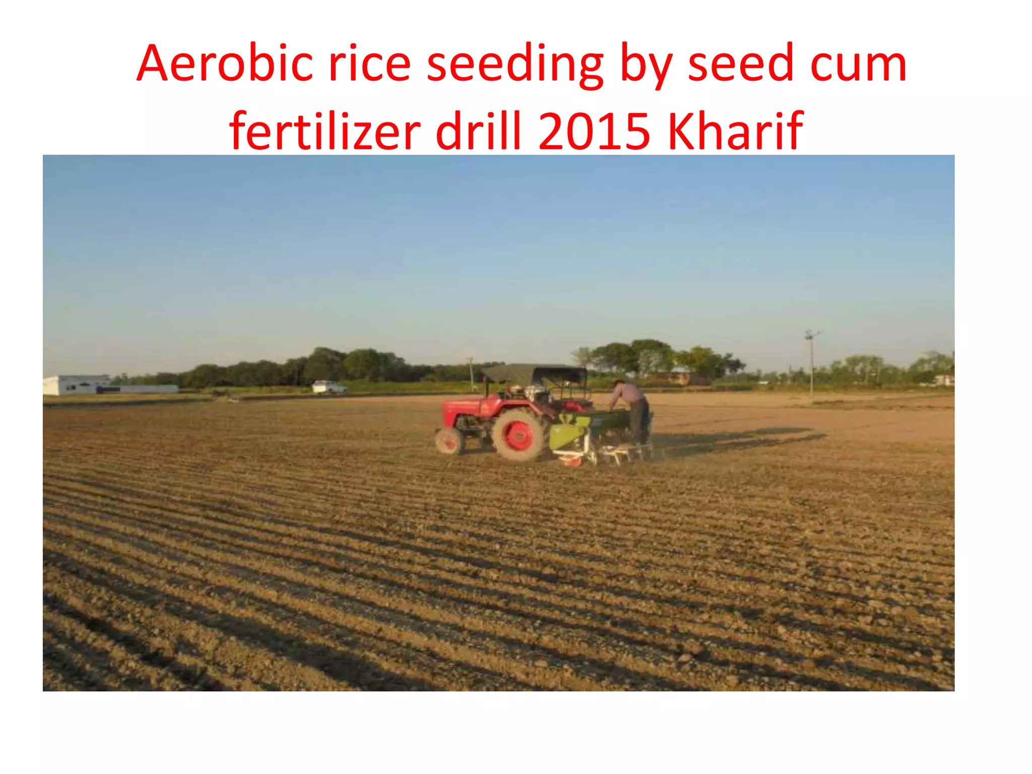 Aerobic rice seeding by seed cum
fertilizer drill 2015 Kharif
 