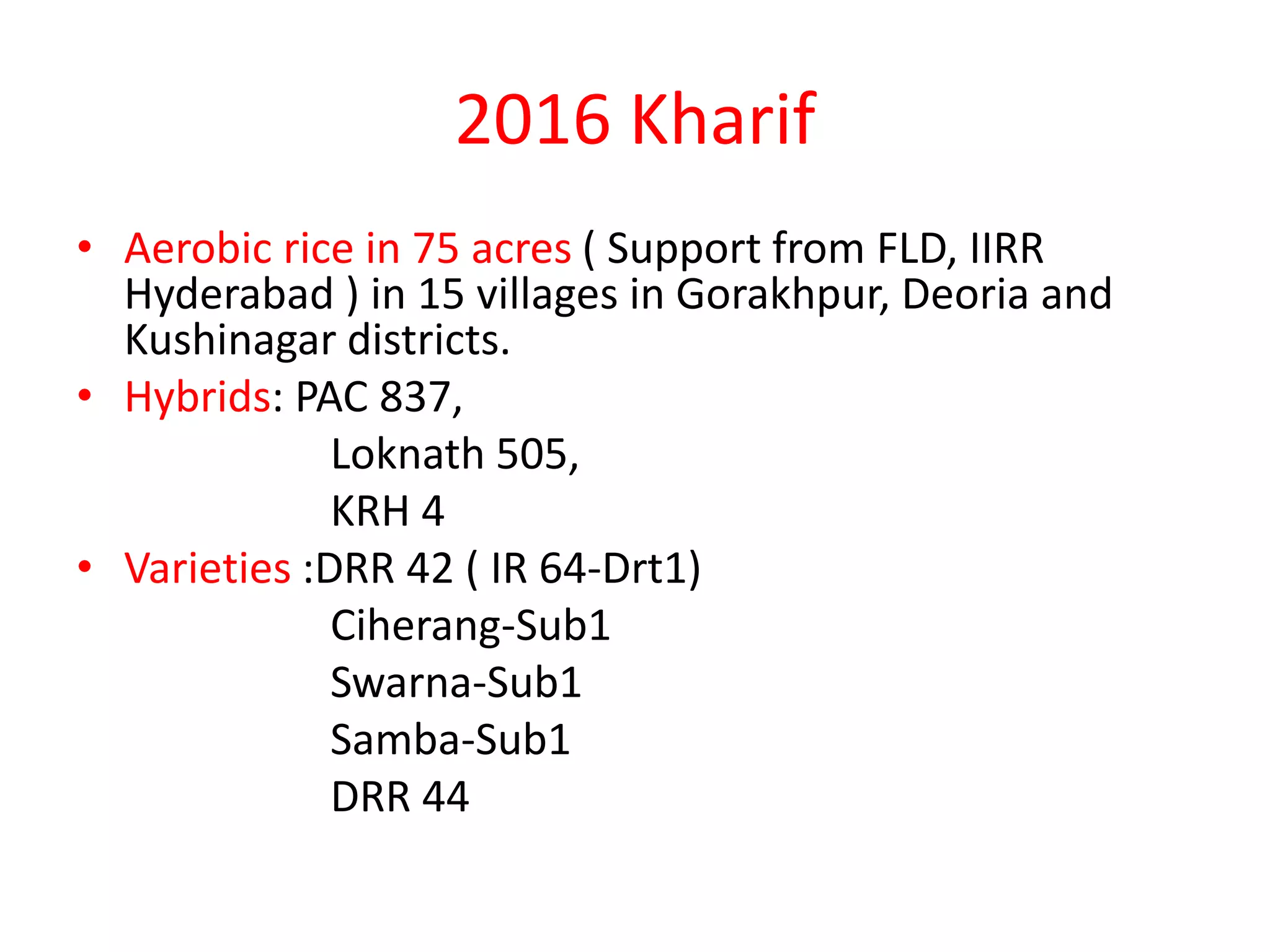 2016 Kharif
• Aerobic rice in 75 acres ( Support from FLD, IIRR
Hyderabad ) in 15 villages in Gorakhpur, Deoria and
Kushinagar districts.
• Hybrids: PAC 837,
Loknath 505,
KRH 4
• Varieties :DRR 42 ( IR 64-Drt1)
Ciherang-Sub1
Swarna-Sub1
Samba-Sub1
DRR 44
 